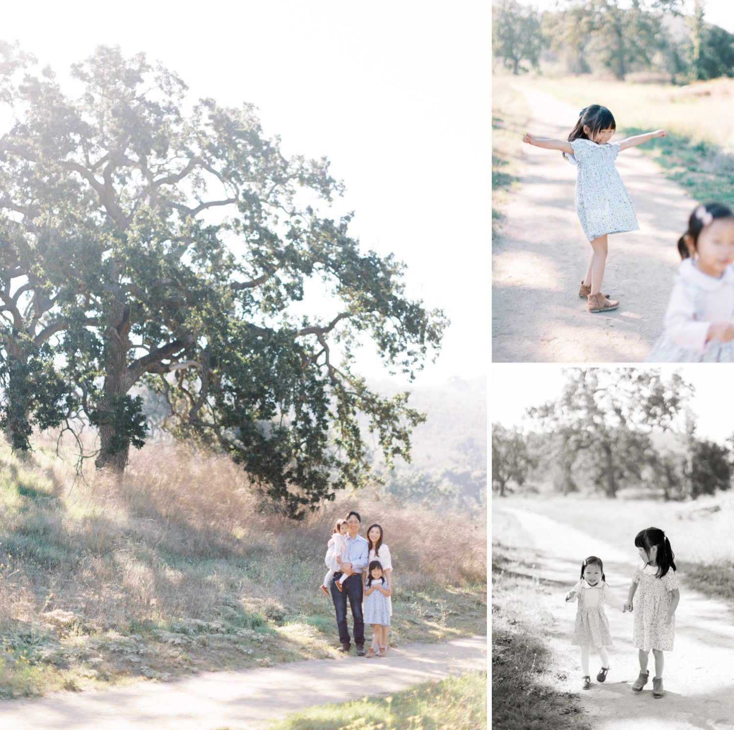 Annual family photos in Thousand Oaks, CA, Annual family photos in Ventura County, Ventura County Family Photographer, family photographer in Thousand Oaks, Ventura County Fall family photos, Ventura County Fall family photographer, Ventura County Fall Mini Session, Mini Session in Ventura, Thousand Oaks Mini session, Mini session in Southern California, Southern California mini session photographer, Thousand Oaks Mini session photographer, ventura county annual family photographer