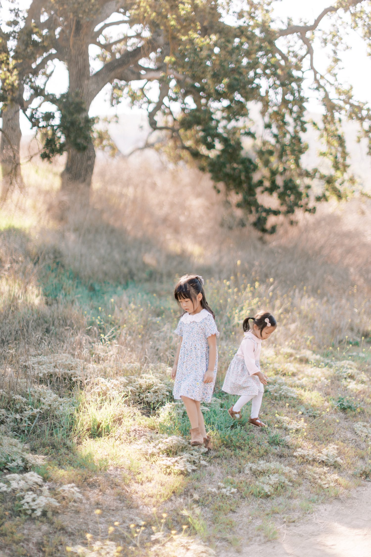 Annual family photos in Thousand Oaks, CA, Annual family photos in Ventura County, Ventura County Family Photographer, family photographer in Thousand Oaks, Ventura County Fall family photos, Ventura County Fall family photographer, Ventura County Fall Mini Session, Mini Session in Ventura, Thousand Oaks Mini session, Mini session in Southern California, Southern California mini session photographer, Thousand Oaks Mini session photographer, ventura county annual family photographer