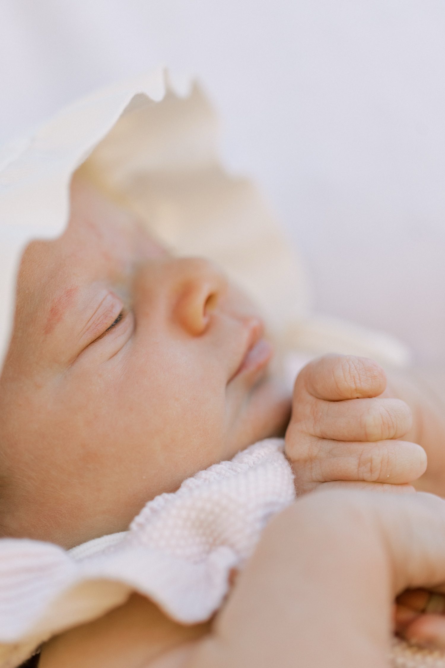 A Backyard Garden Newborn Session in Carpinteria, CA, Carpinteria Newborn Photographer, Carpinteria Newborn Session, Ventura County Newborn Photographer, Carpinteria Family Photographer, Newborn session in Carpinteria, Ventura County Newborn Photographer, Ventura County Newborn Photoshoot, Thousand Oaks Newborn Photographer, Santa Barbara Newborn Photographer, Backyard Newborn Session Carpinteria, Backyard Santa Barbara Newborn Session, Santa Barbara Family Photographer, SB County Photographer